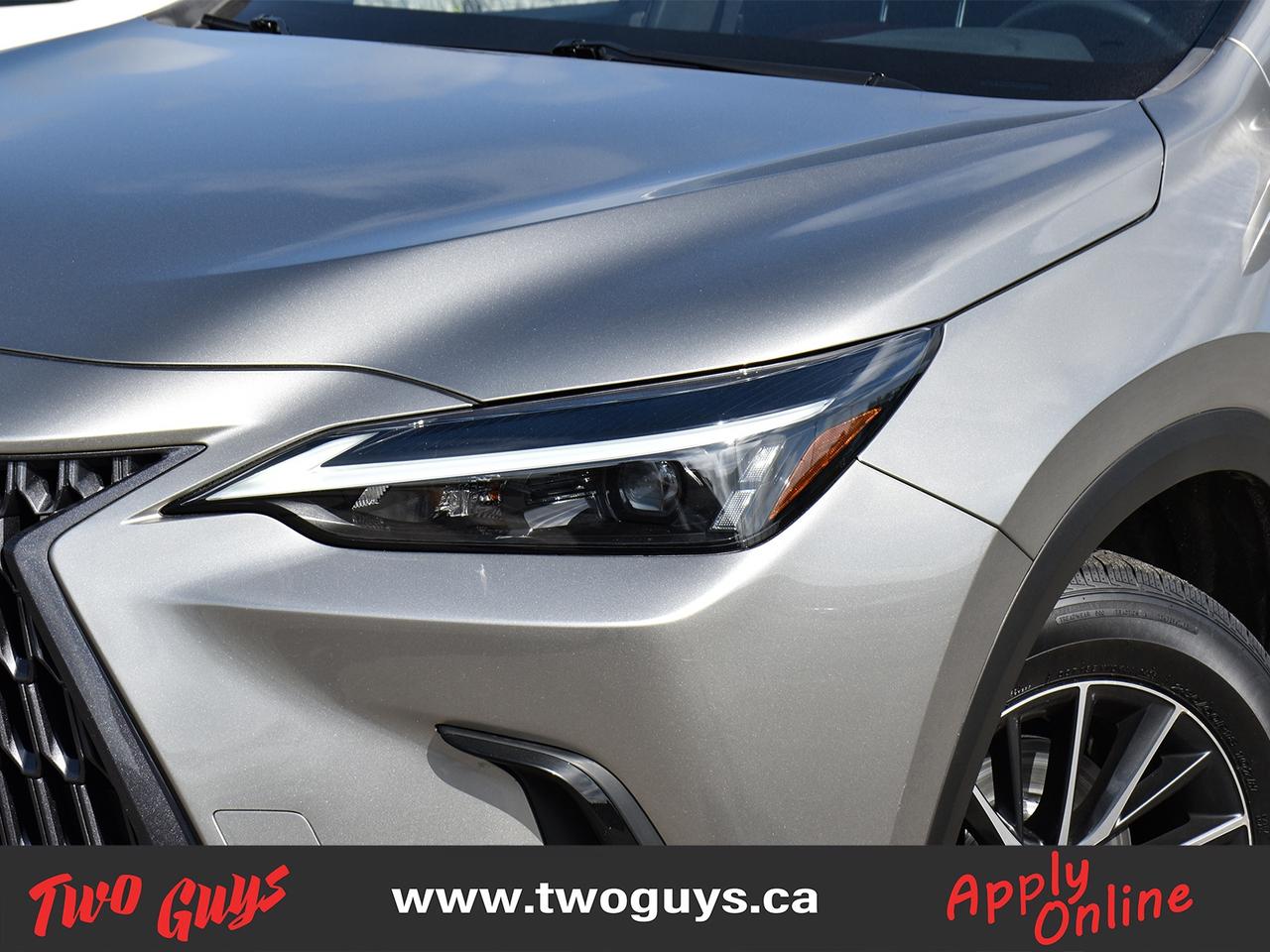 2023 Lexus NX NX 350h AWD Premium Sunroof Leather Back Up Cam Photo
