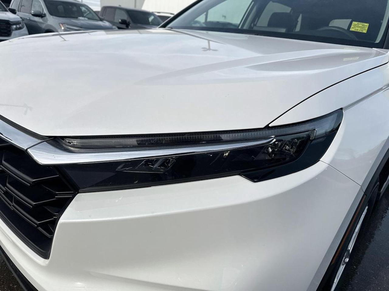 2025 Honda CR-V LX Photo