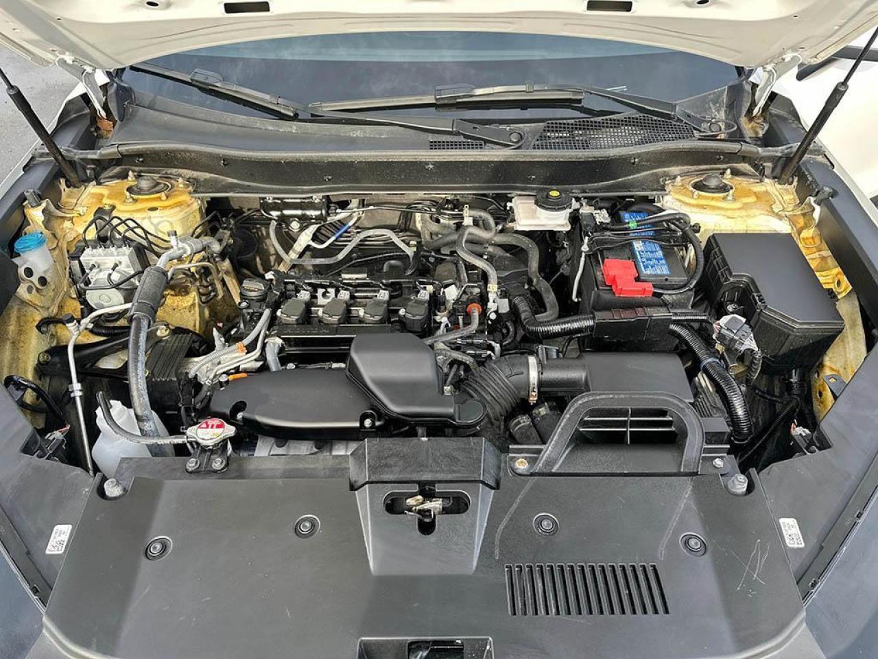 2025 Honda CR-V LX Photo