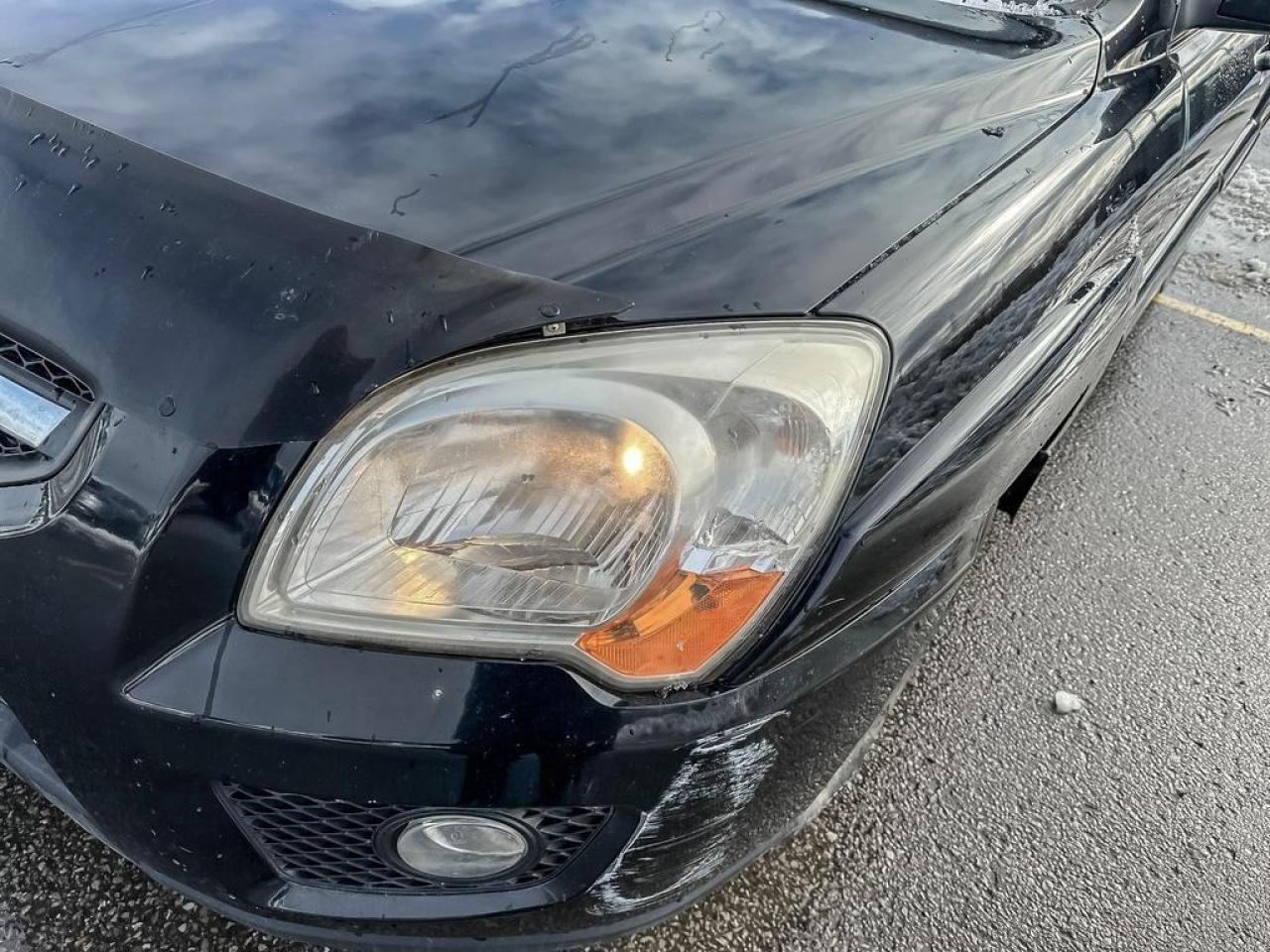 2010 Kia Sportage LX Photo