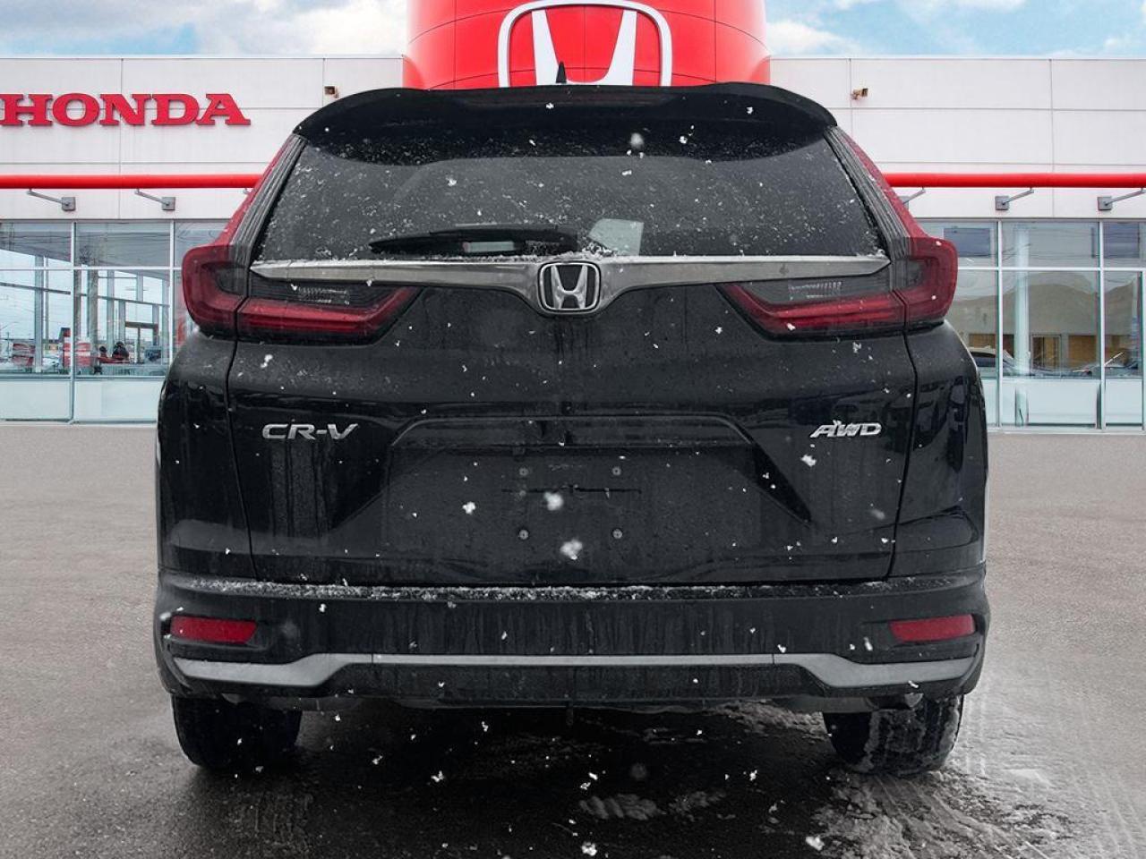2020 Honda CR-V LX Photo4