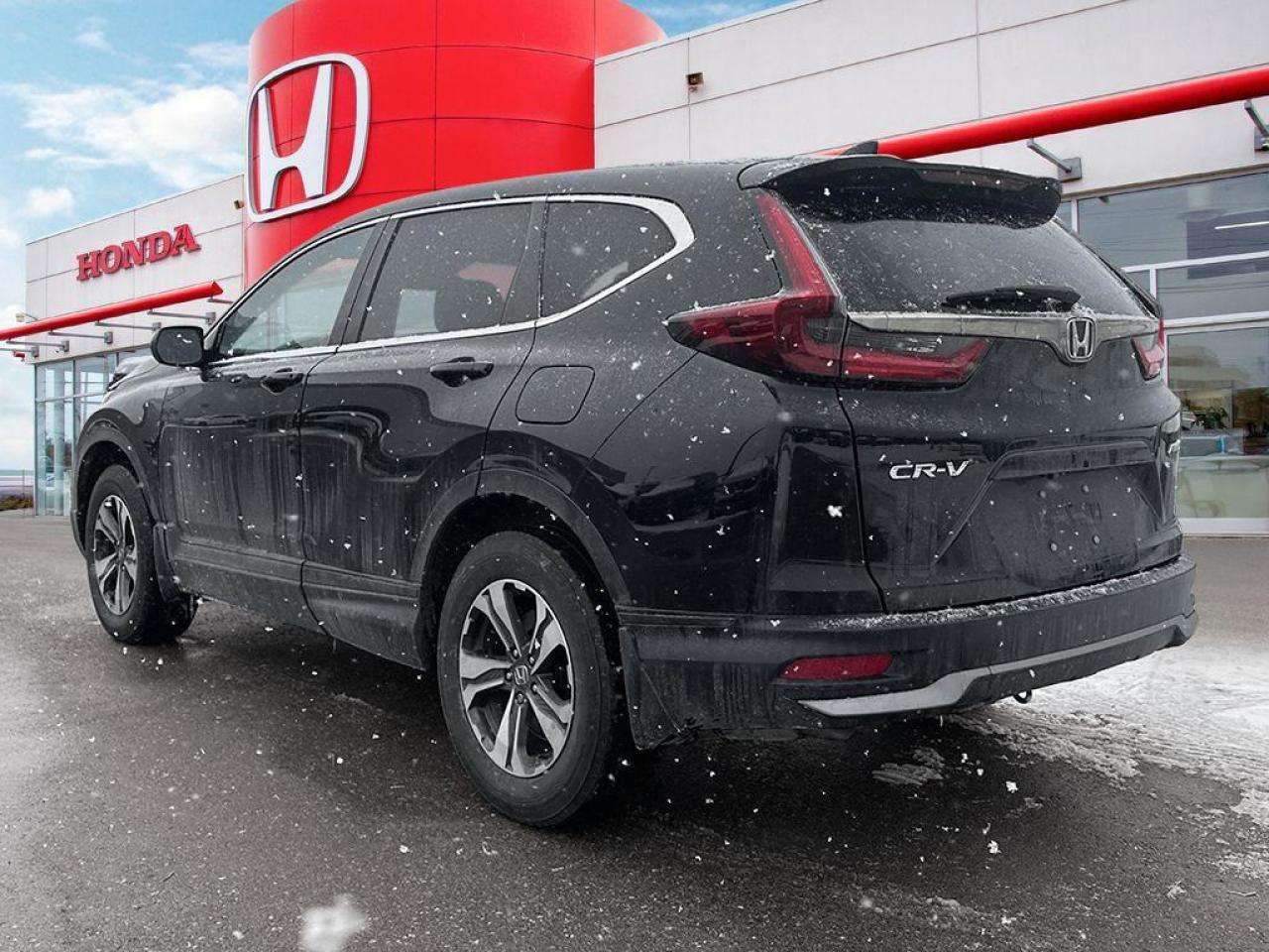 2020 Honda CR-V LX Photo