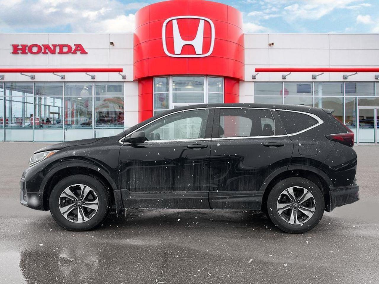 2020 Honda CR-V LX Photo