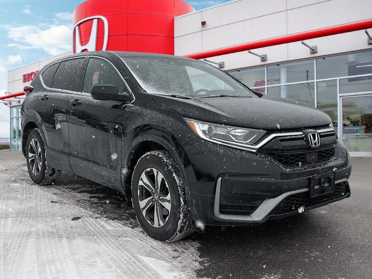 2020 Honda CR-V LX Photo