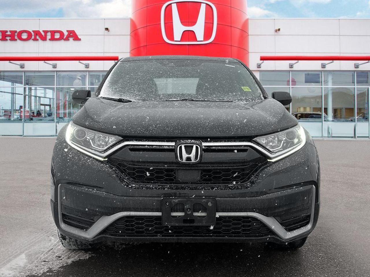 2020 Honda CR-V LX Photo