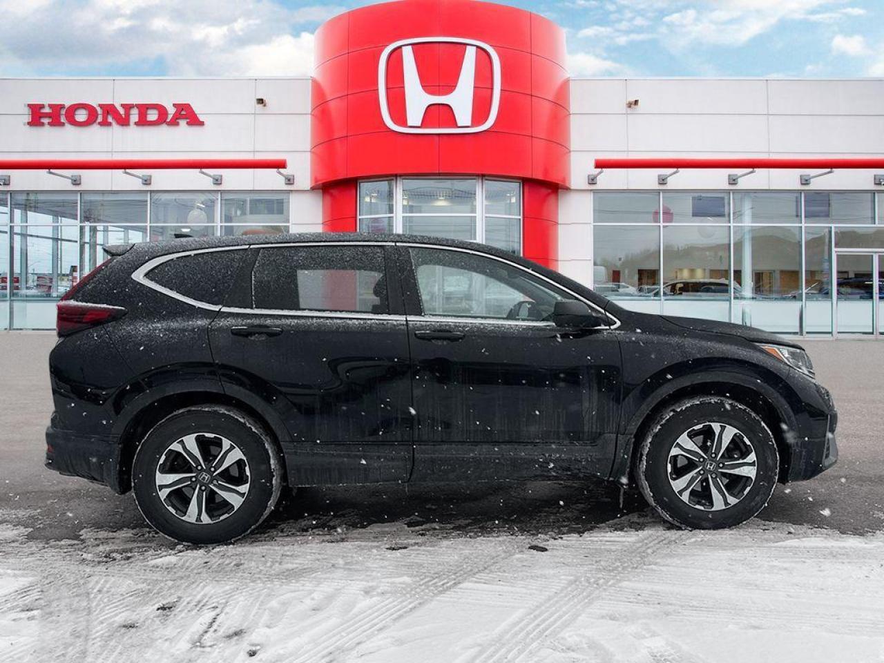 2020 Honda CR-V LX Photo