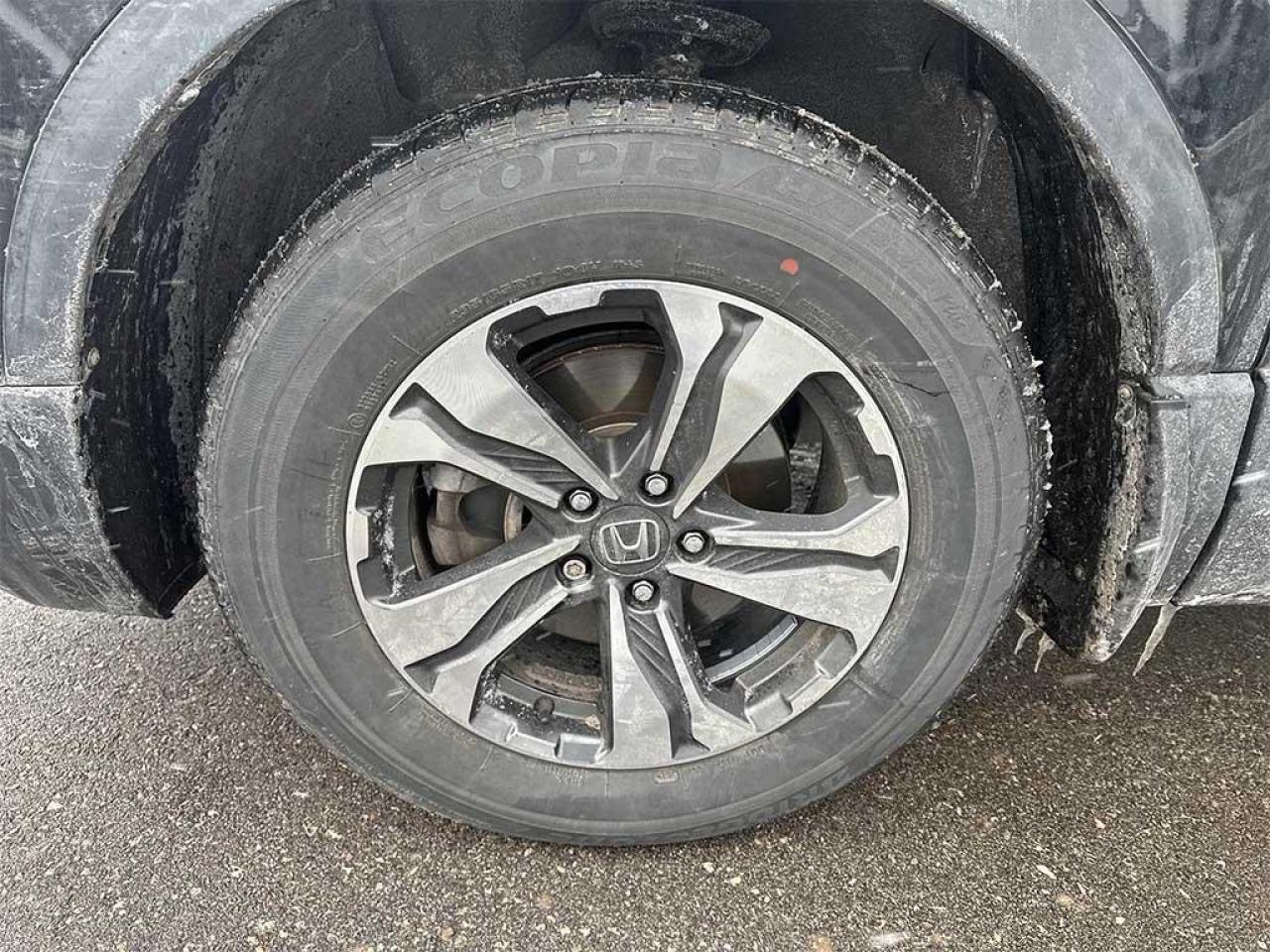 2020 Honda CR-V LX Photo