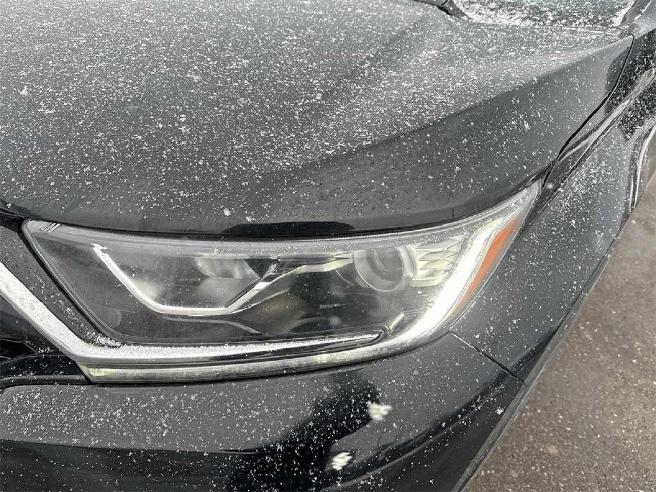 2020 Honda CR-V LX Photo