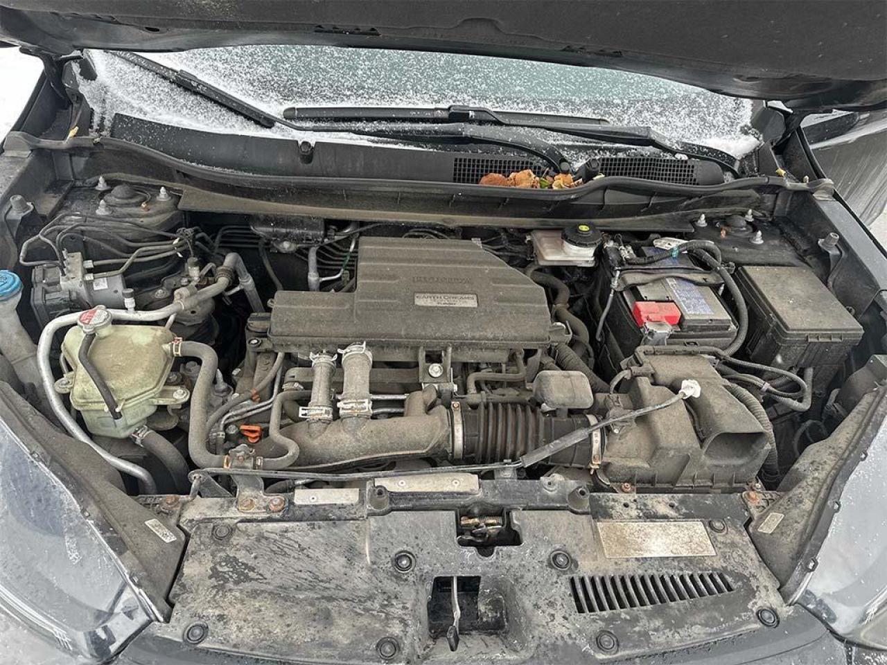 2020 Honda CR-V LX Photo