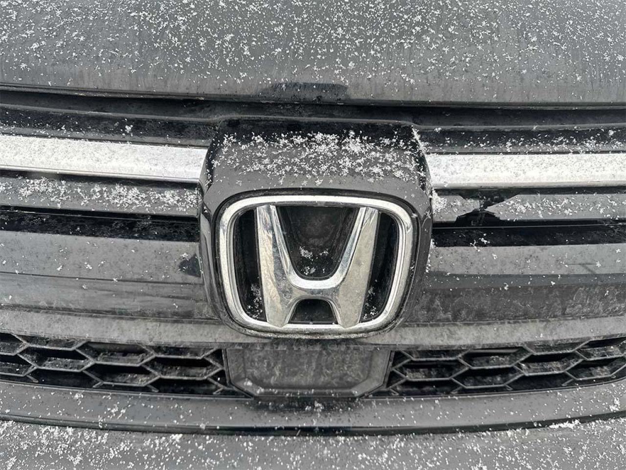 2020 Honda CR-V LX Photo