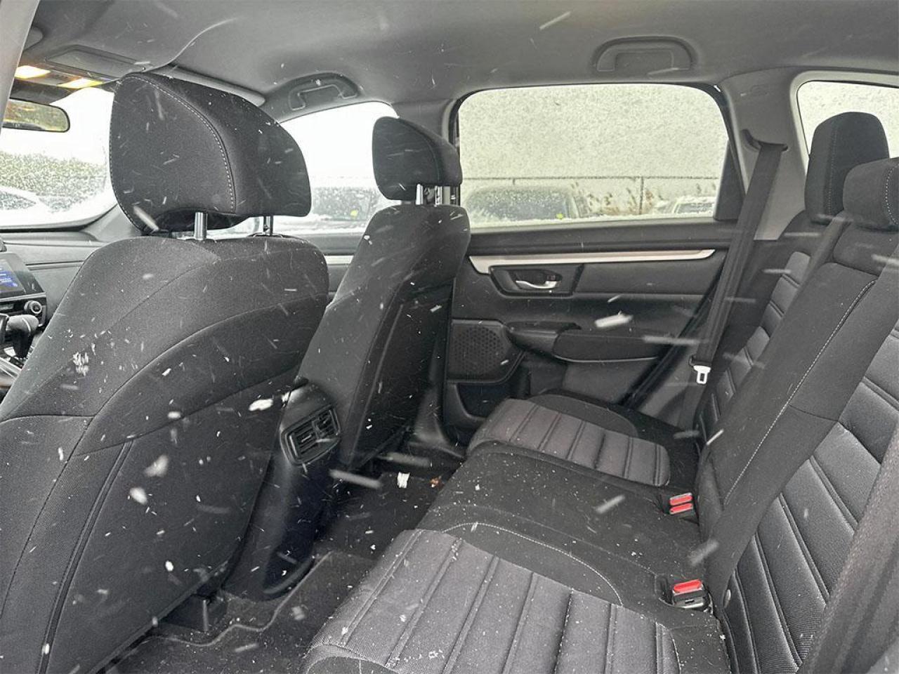 2020 Honda CR-V LX Photo