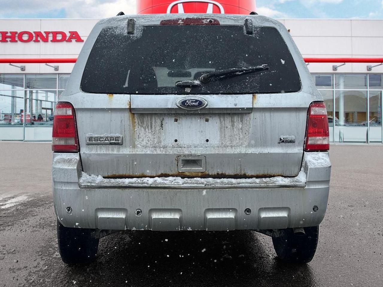 2011 Ford Escape Limited Photo4