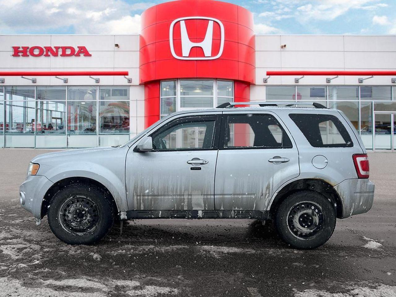 2011 Ford Escape Limited Photo2