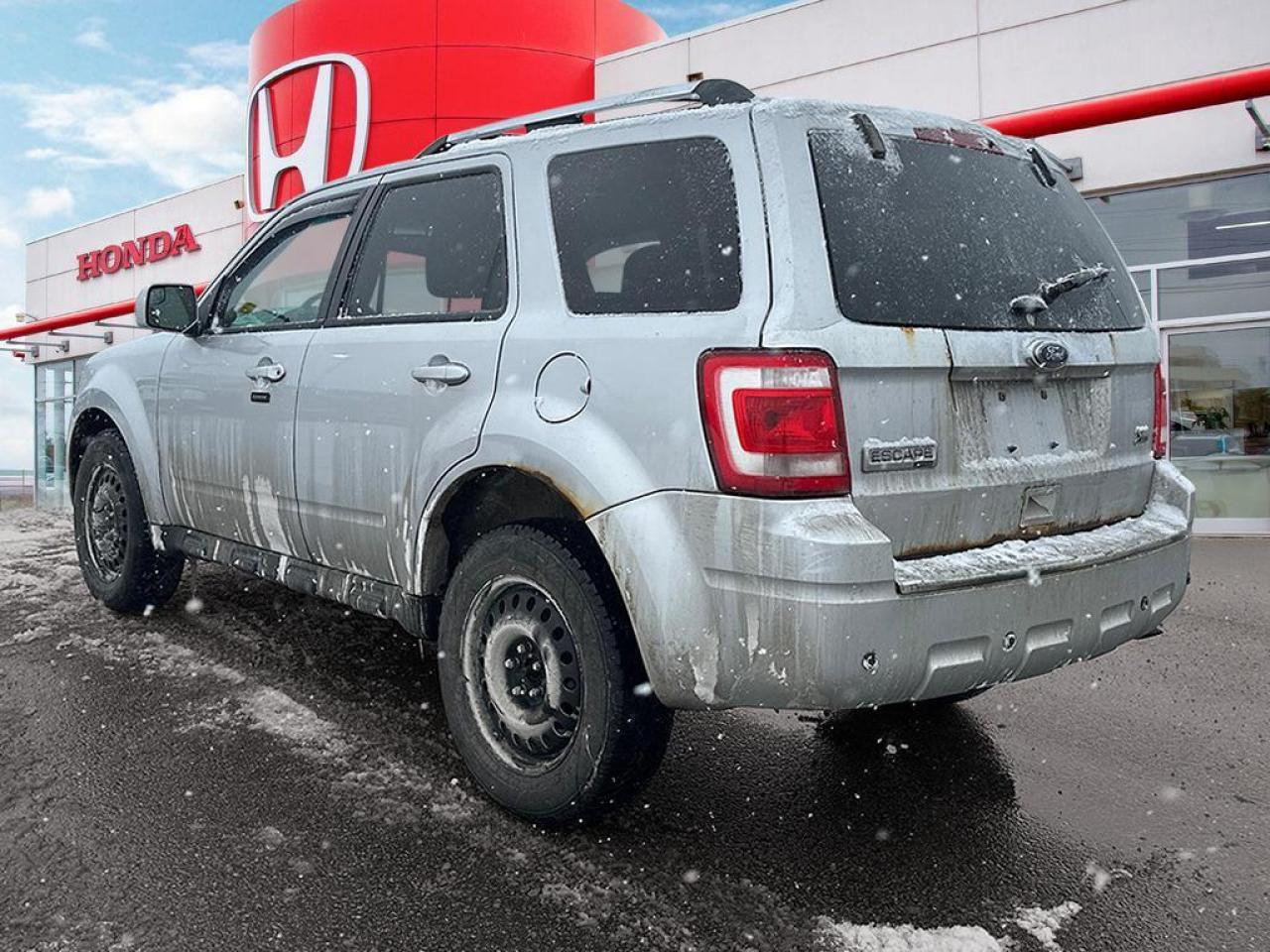 2011 Ford Escape Limited Photo3