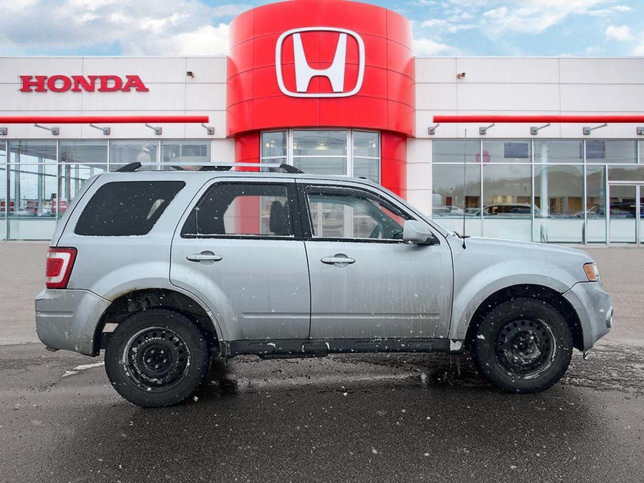 2011 Ford Escape Limited Photo