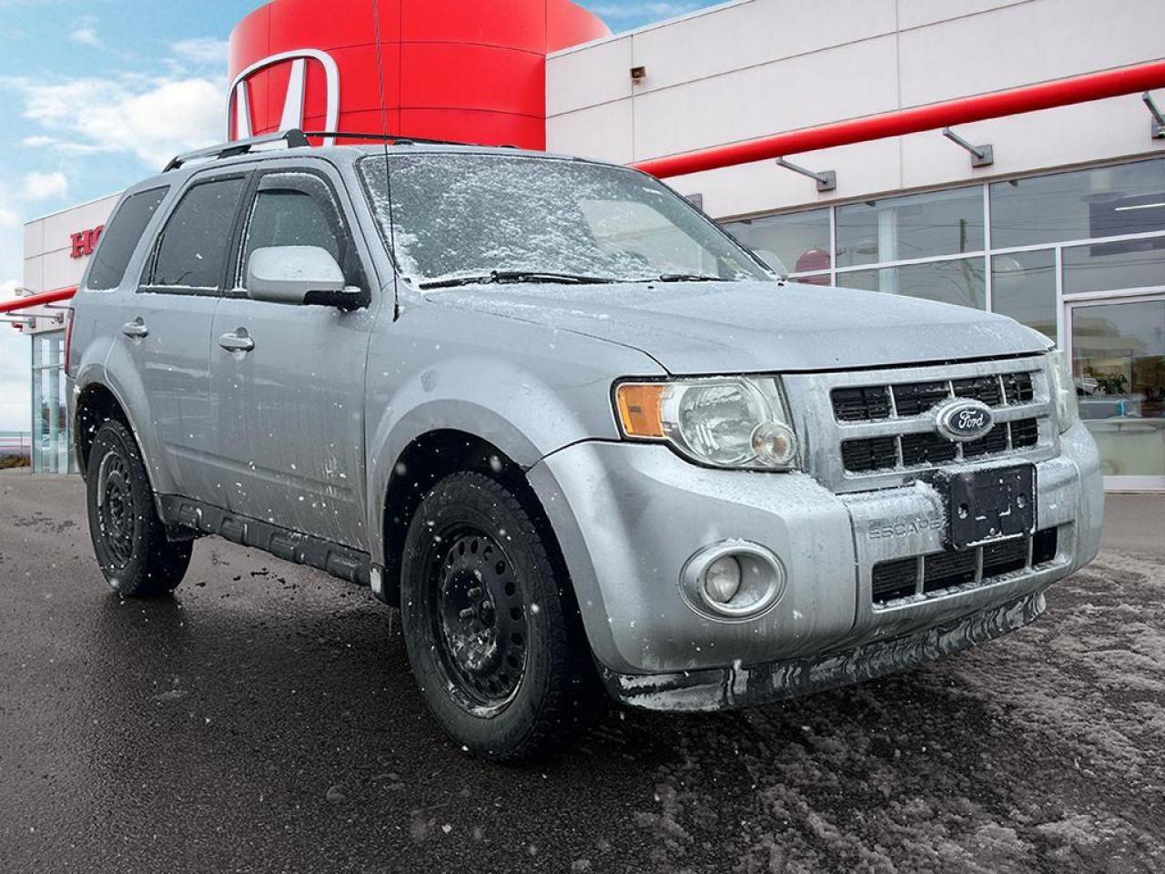 2011 Ford Escape Limited Photo