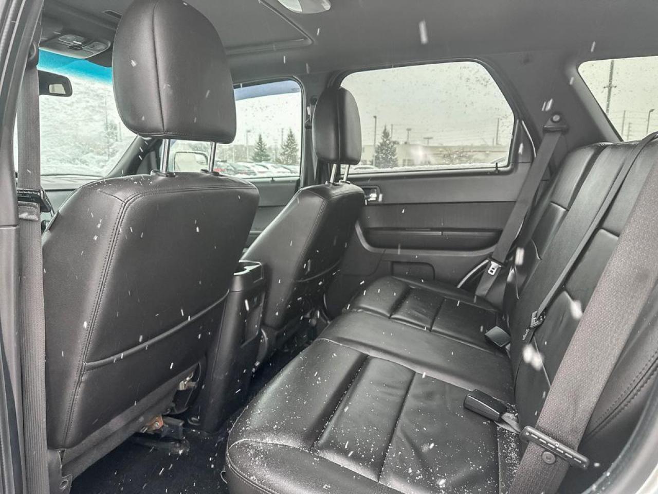 2011 Ford Escape Limited Photo