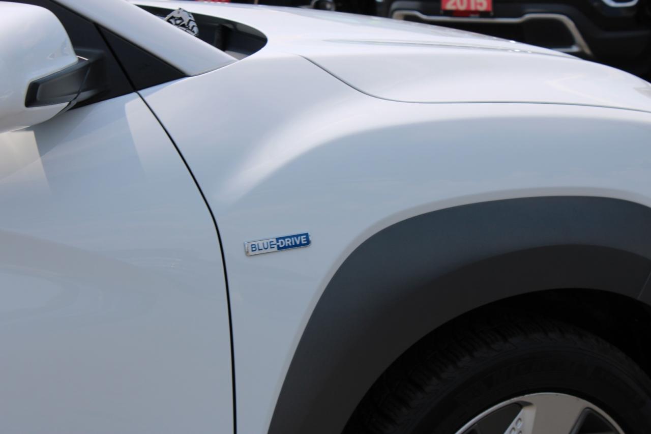 2019 Hyundai KONA electric ULTIMATE NO ACCIDENT HUD VENTED SEATS SAFETY CERTI Photo