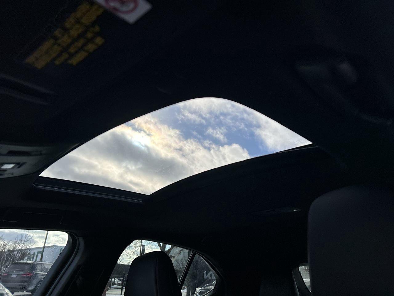 2020 Lexus UX UX 250h   Hybrid Luxury Meets ingenuity NEW BRAKES Photo