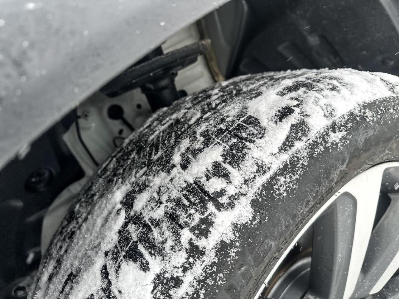 2024 Honda Pilot Touring Photo