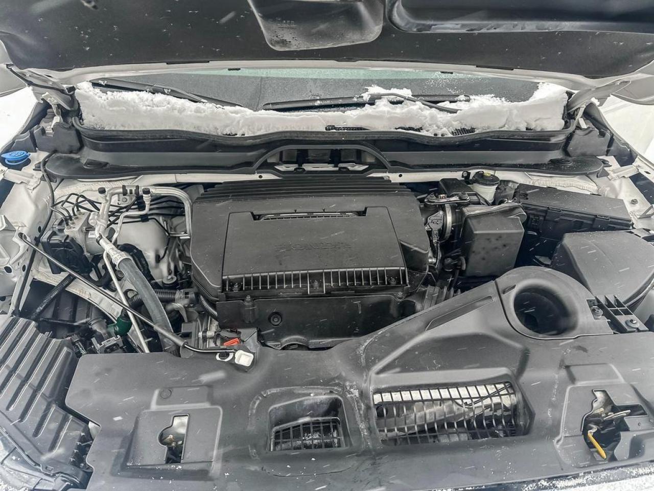 2024 Honda Pilot Touring Photo