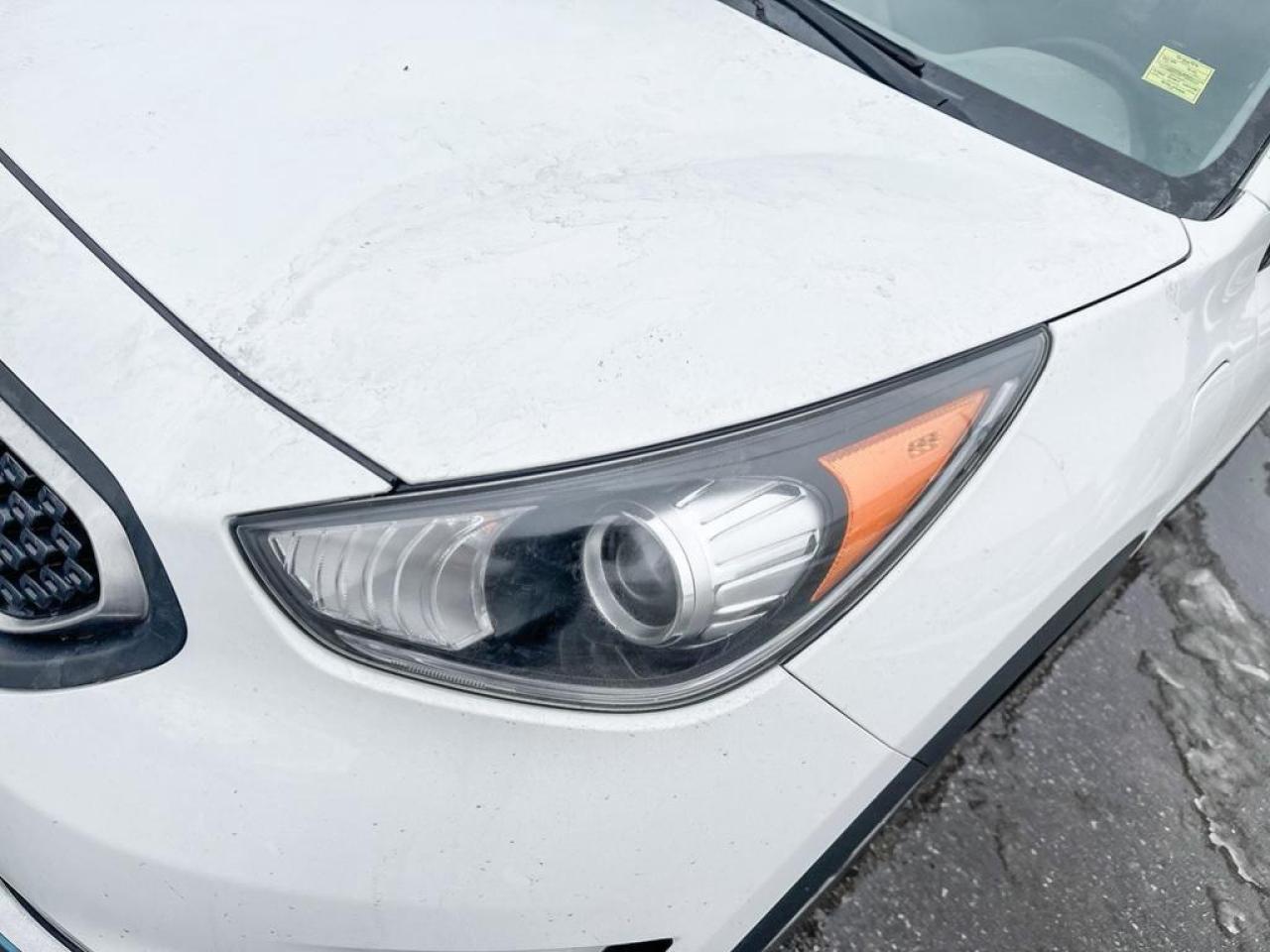 2019 Kia Niro Plug-In Hybrid EX Photo