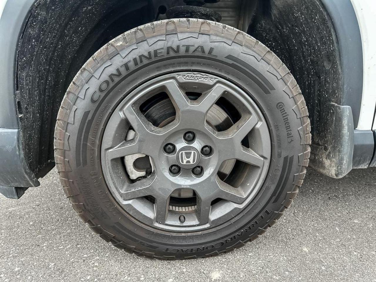 2023 Honda Pilot TrailSport Photo