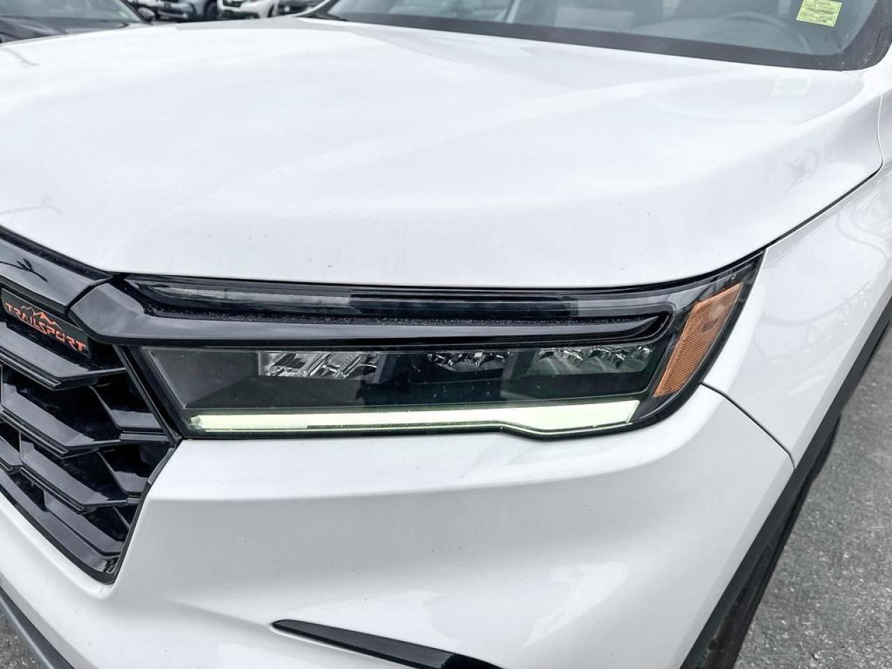 2023 Honda Pilot TrailSport Photo