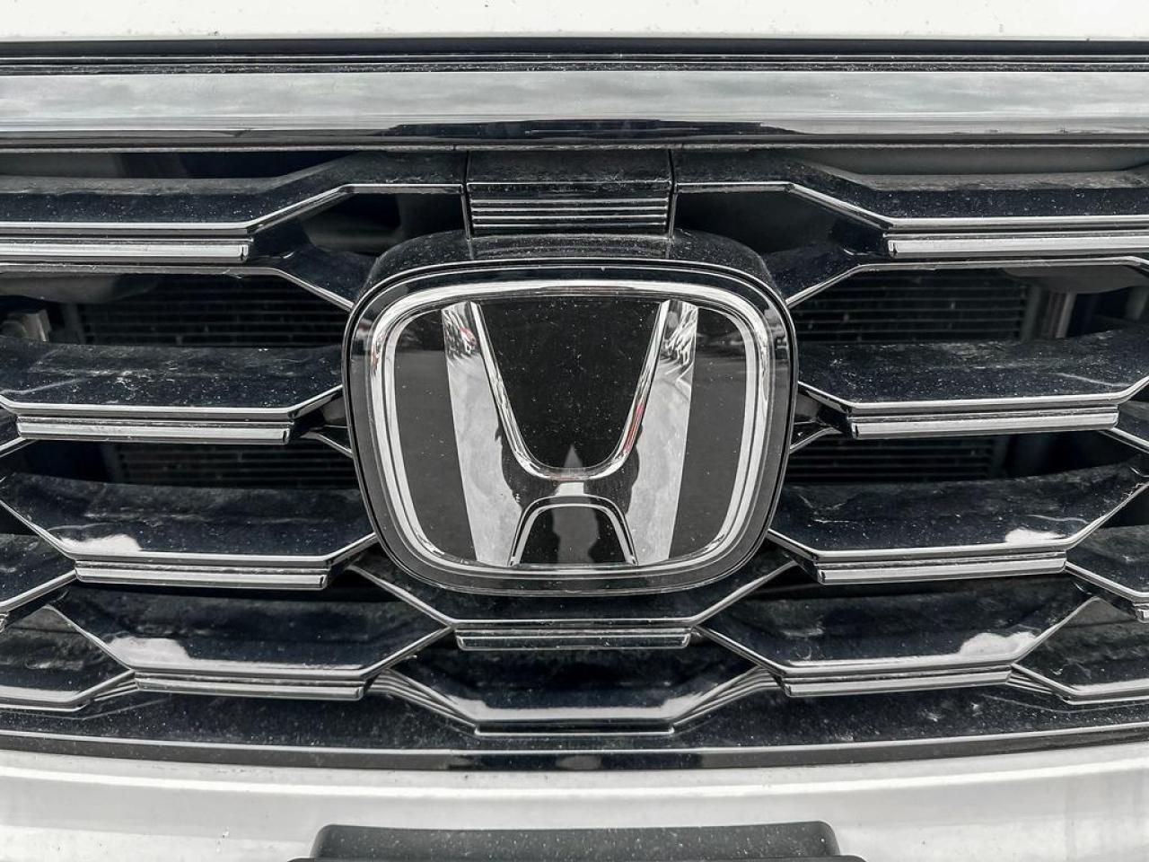 2023 Honda Pilot TrailSport Photo