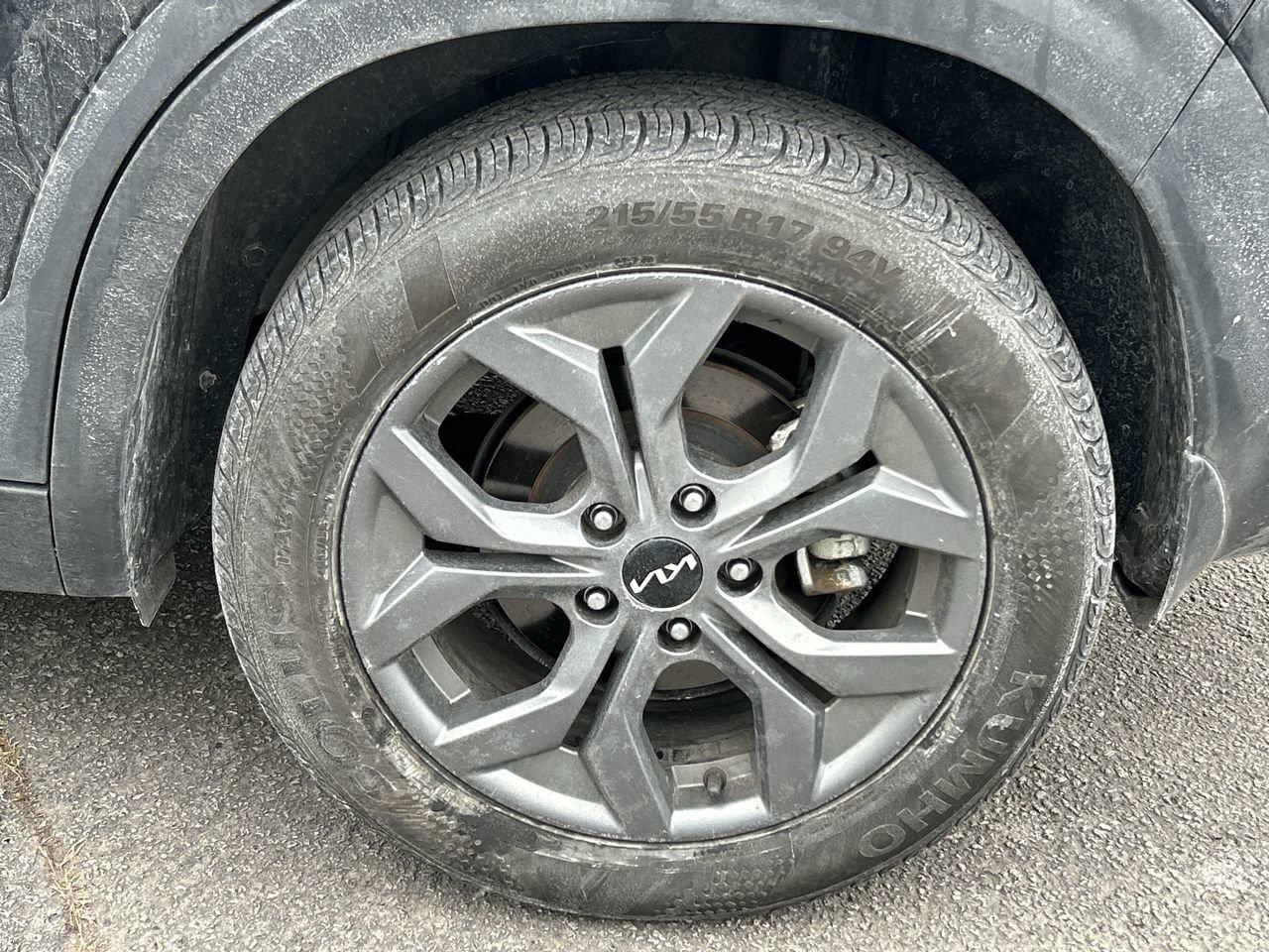 2024 Kia Seltos LX   Like New, Ready to Impress! REFINED   ONE OWN Photo