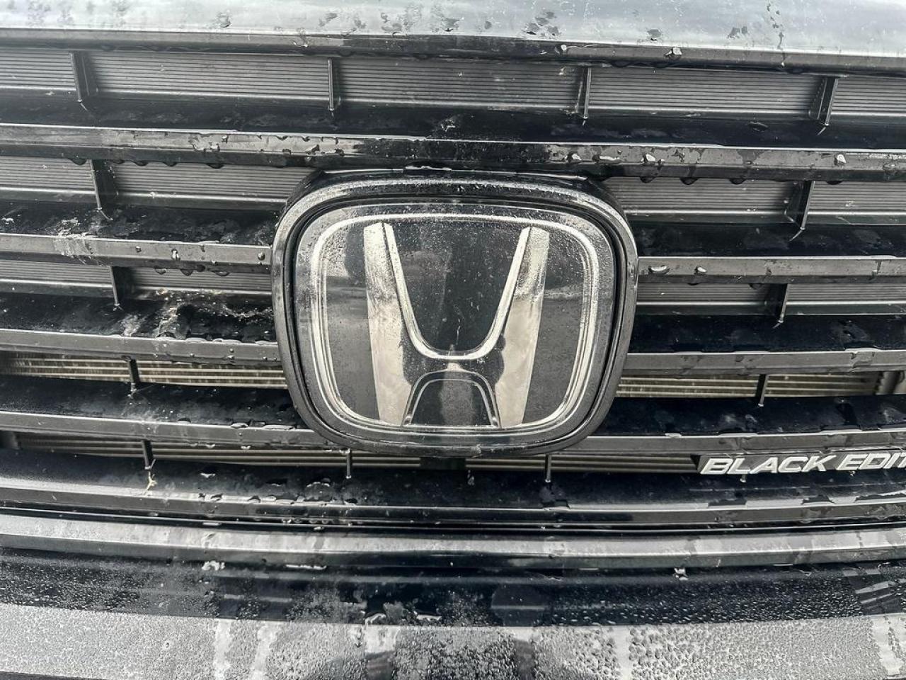 2022 Honda Ridgeline Black Edition Photo