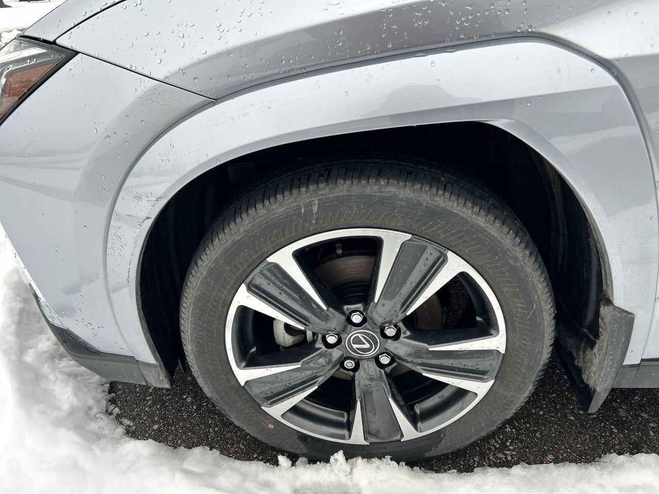 2025 Lexus UX UX 300h   Refined. Intelligent. Unmistakably Lexus Photo