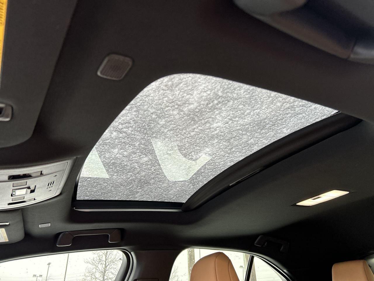 2025 Lexus UX UX 300h   Refined. Intelligent. Unmistakably Lexus Photo