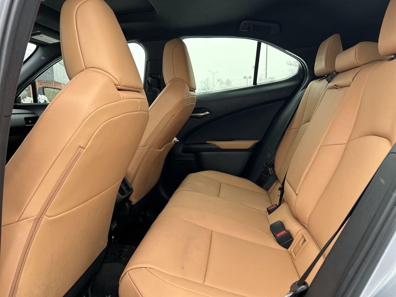 2025 Lexus UX UX 300h   Refined. Intelligent. Unmistakably Lexus Photo