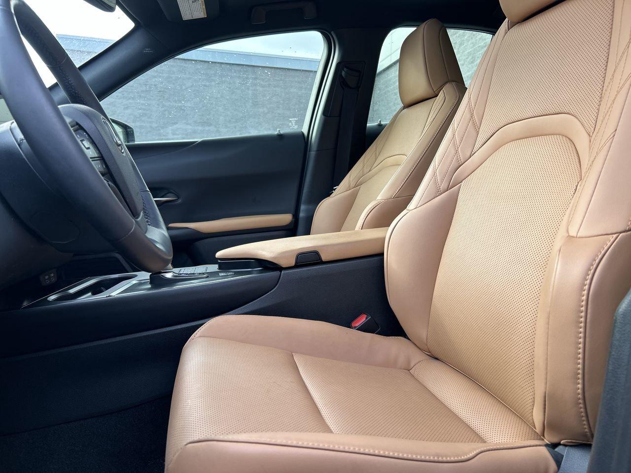 2025 Lexus UX UX 300h   Refined. Intelligent. Unmistakably Lexus Photo