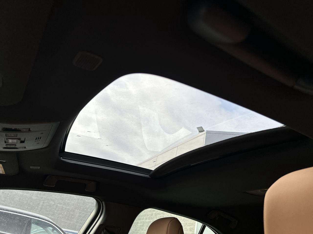 2025 Lexus UX UX 300h   Refined. Intelligent. Unmistakably Lexus Photo