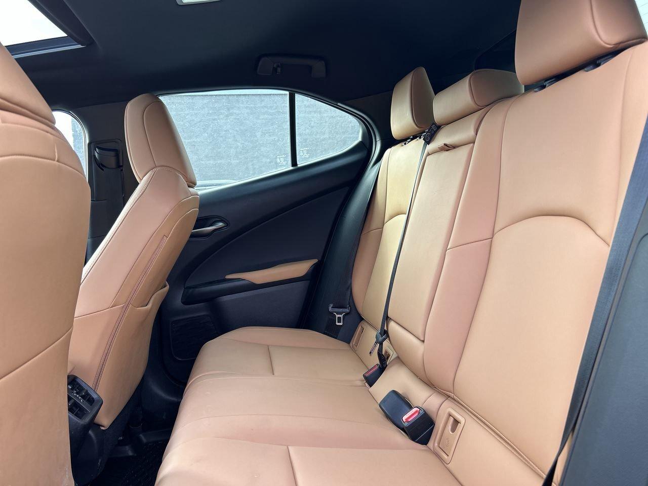 2025 Lexus UX UX 300h   Refined. Intelligent. Unmistakably Lexus Photo