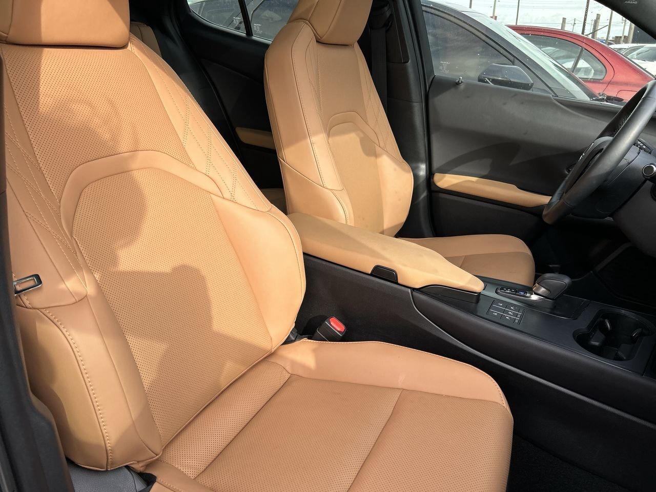 2025 Lexus UX UX 300h   Refined. Intelligent. Unmistakably Lexus Photo