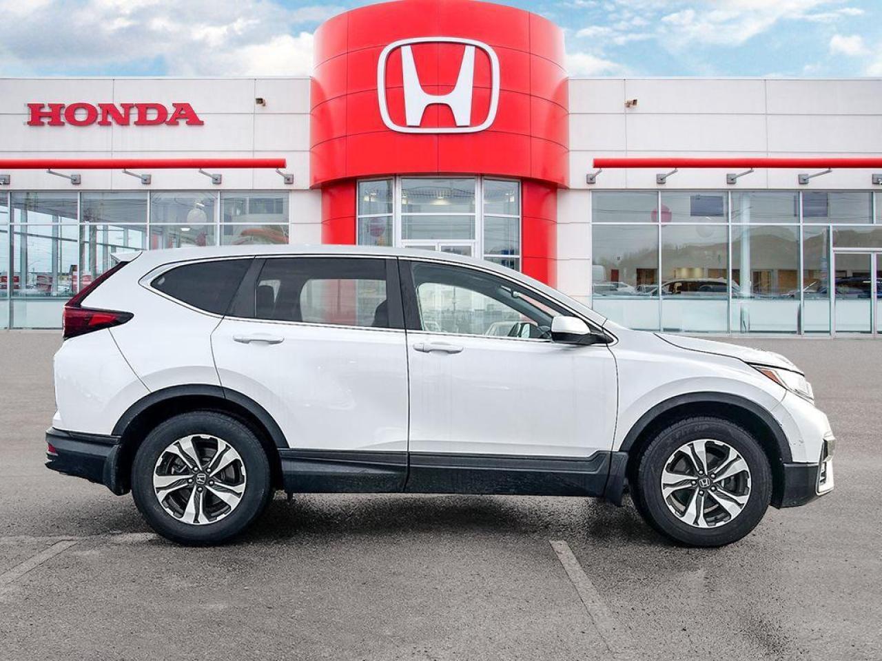2020 Honda CR-V LX Photo