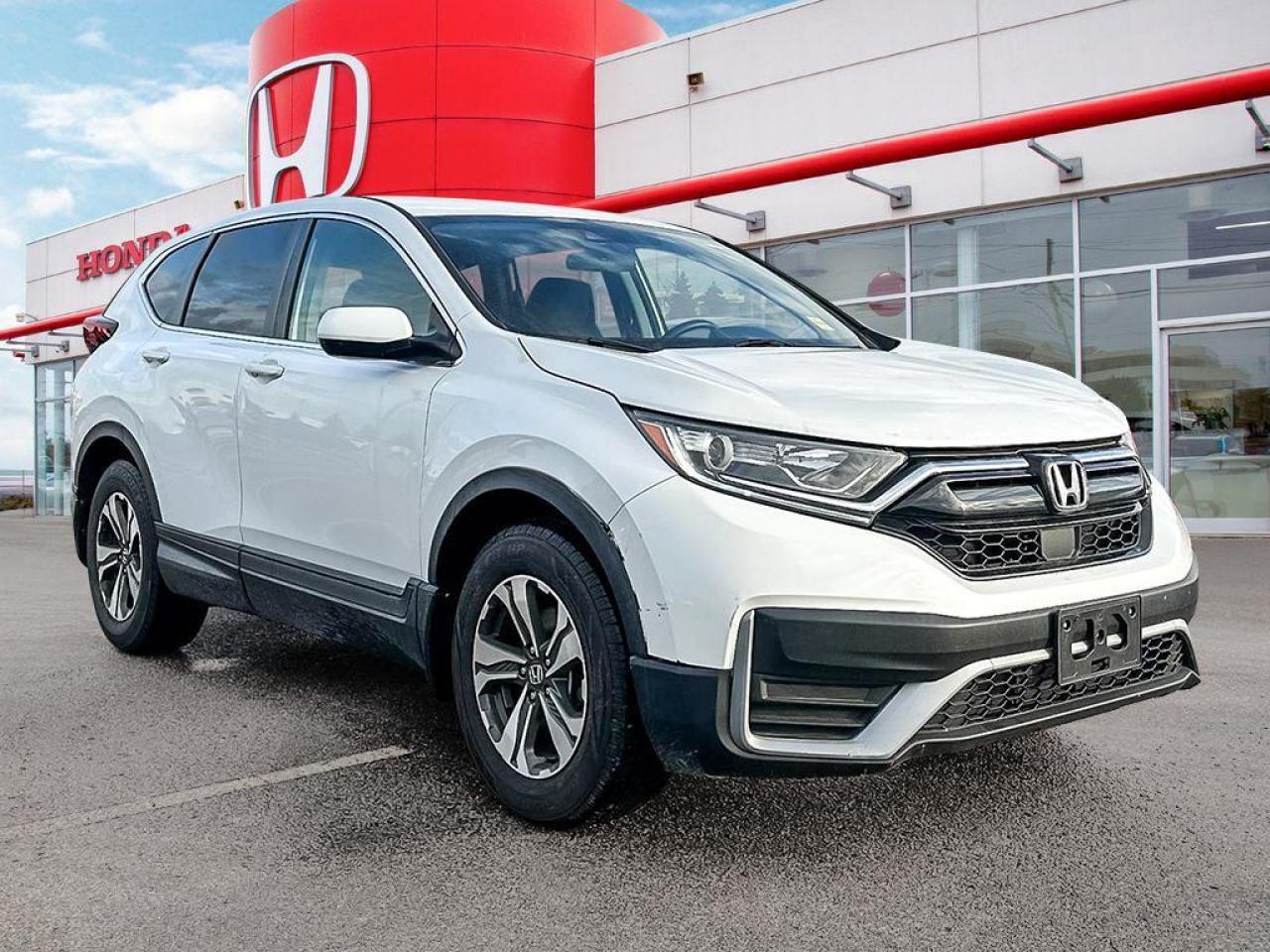 2020 Honda CR-V LX Photo