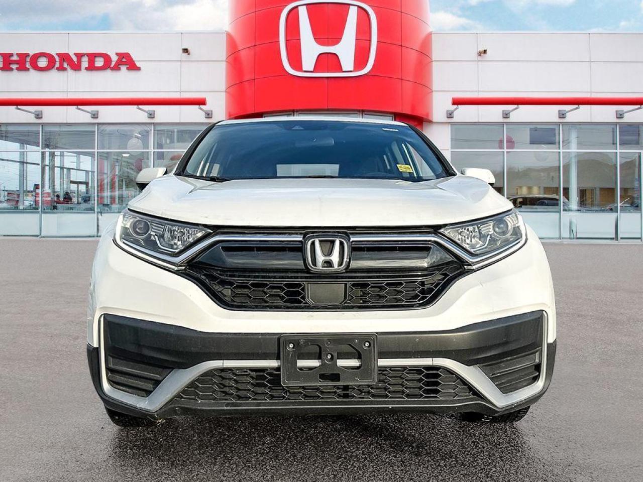 2020 Honda CR-V LX Photo