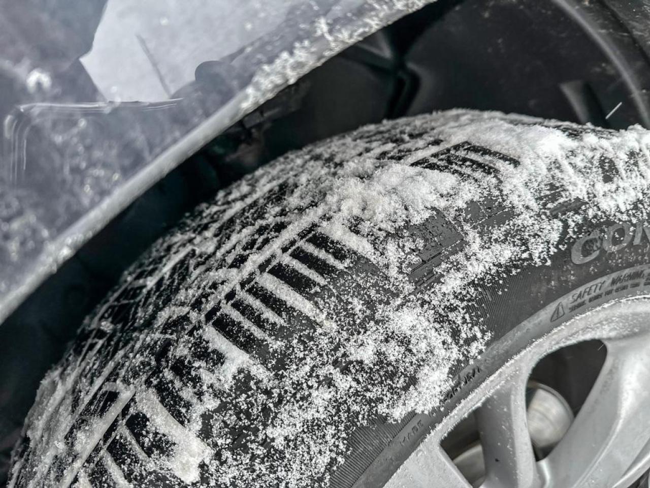 2019 Acura RDX Platinum Élite Photo