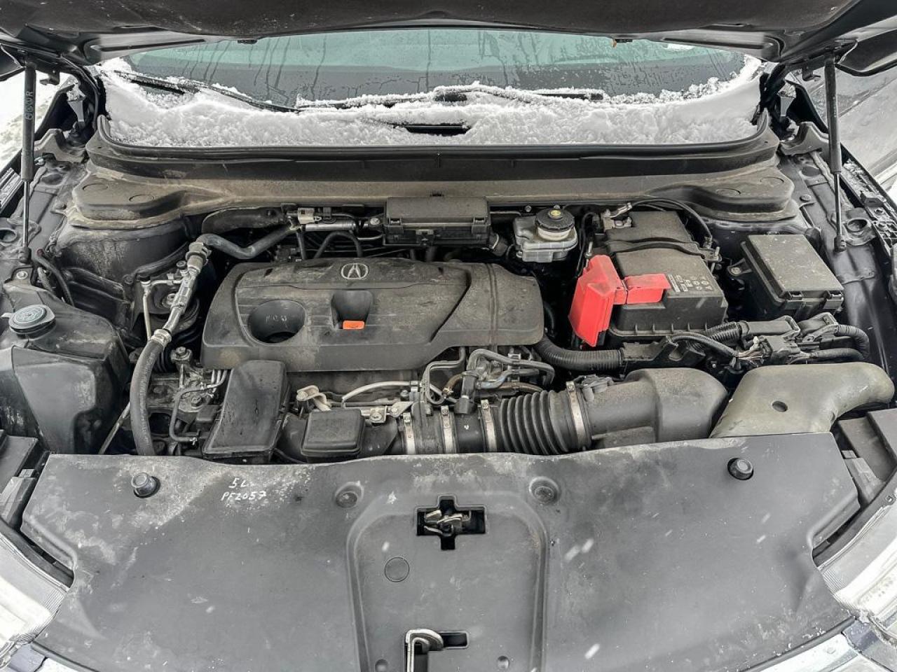 2019 Acura RDX Platinum Élite Photo