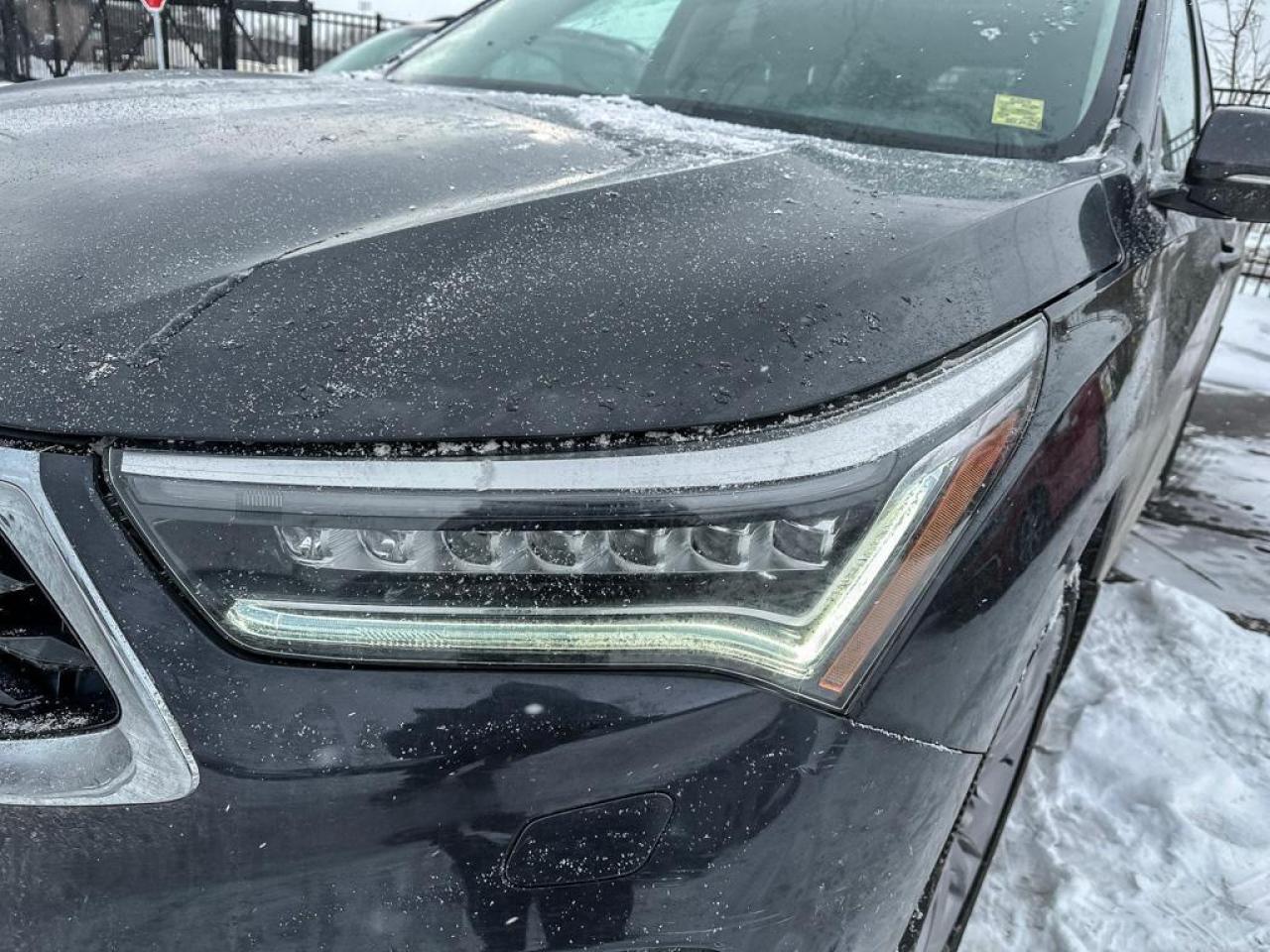 2019 Acura RDX Platinum Élite Photo