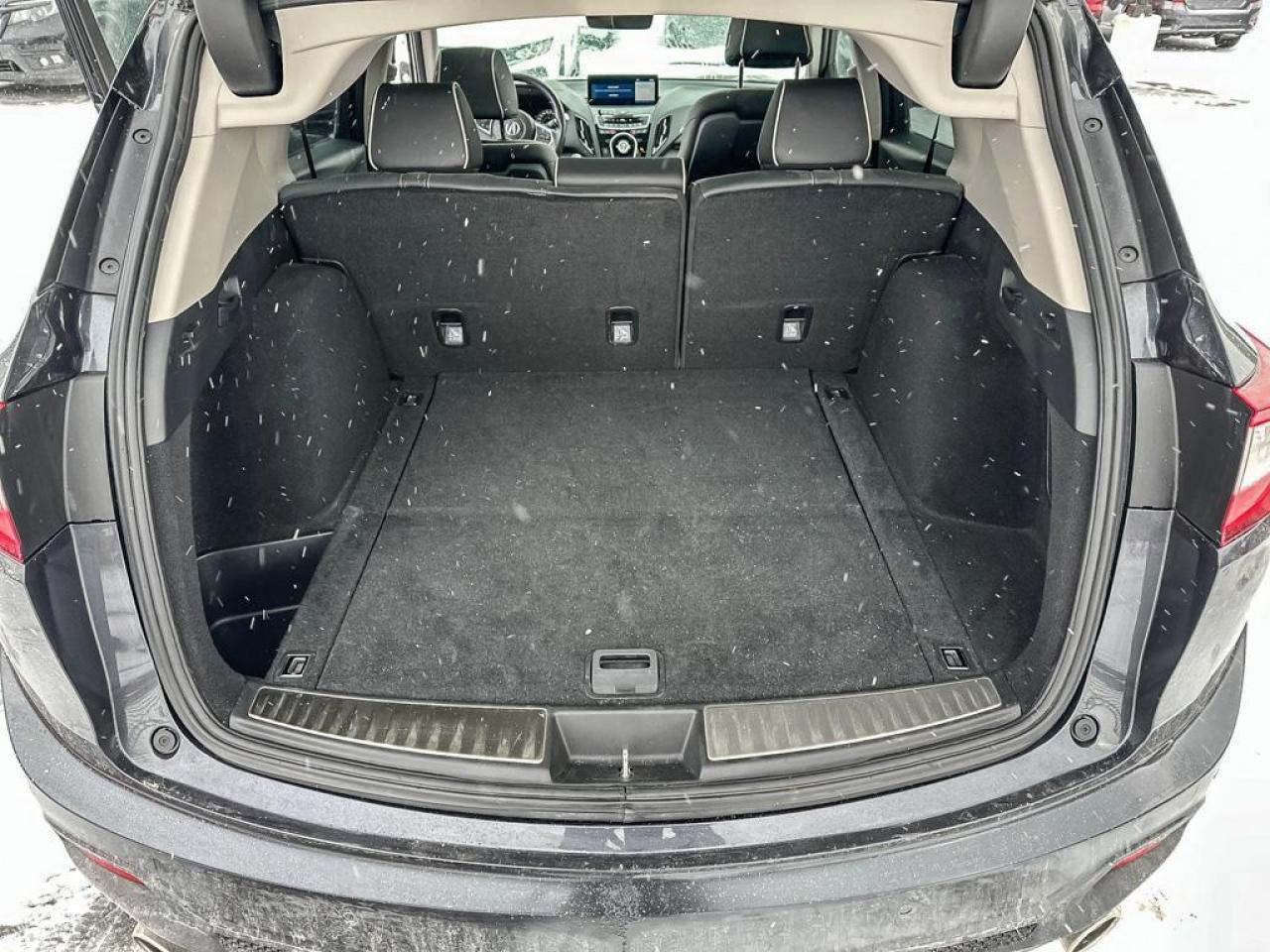 2019 Acura RDX Platinum Élite Photo