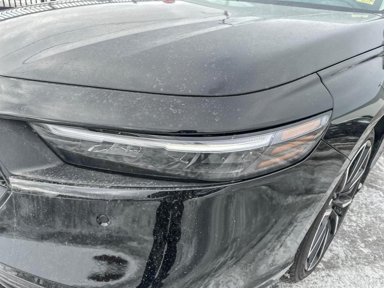 2025 Honda Accord Hybrid TOURING Photo