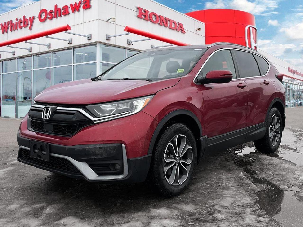 2020 Honda CR-V EX-L Photo