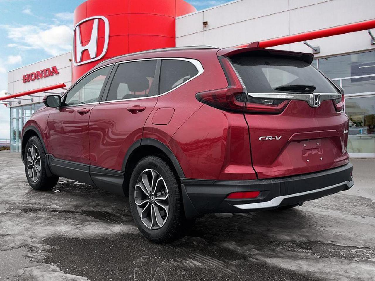 2020 Honda CR-V EX-L Photo3