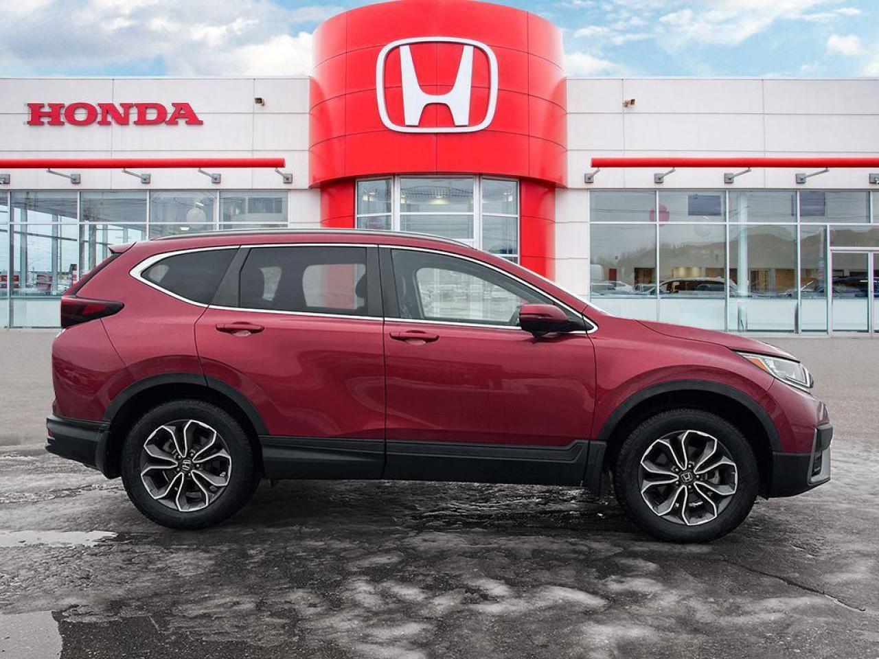 2020 Honda CR-V EX-L Photo