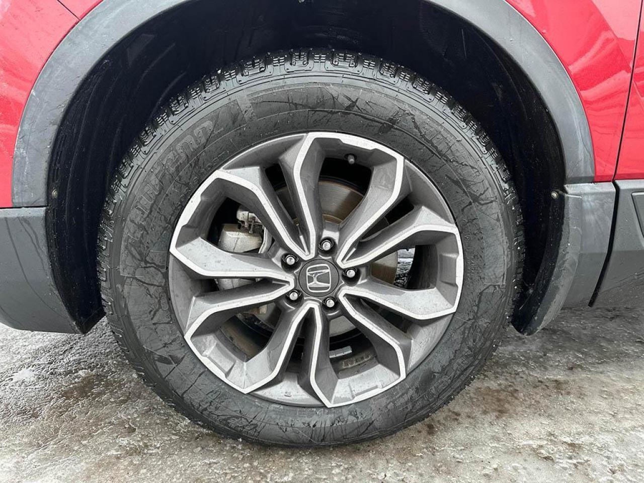 2020 Honda CR-V EX-L Photo